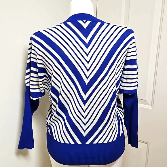 NWT John & Anna Striped Vneck Sweater - Picture 4 of 7